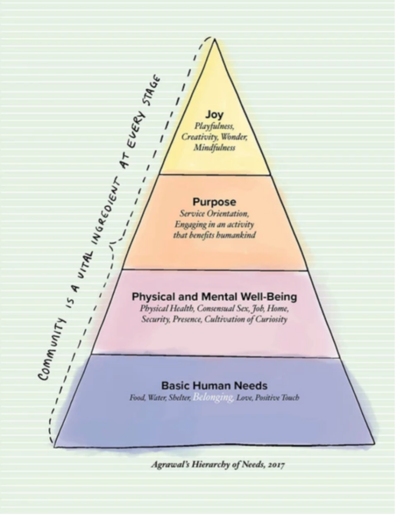 Agrawal's Hierarchy of Needs