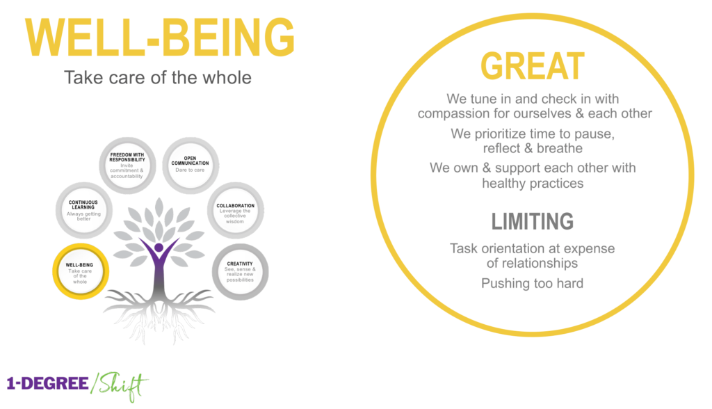 An image of our 1-DEGREE/Shift culture code showing the details of our Well-Being value. It includes the great and limiting behaviours that describe our well-being value.